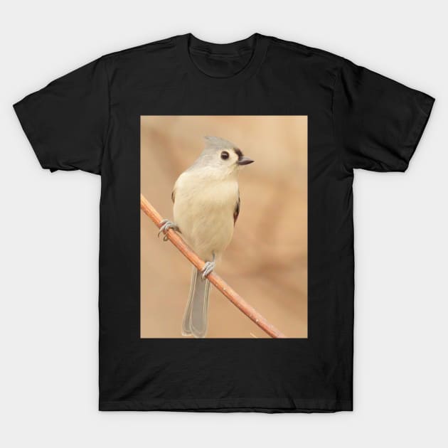 Tufted Titmouse with soft out of focus background T-Shirt by BirdsnStuff